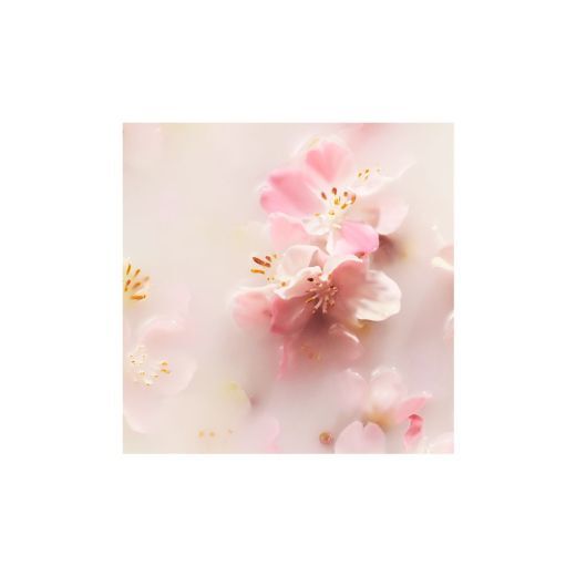 The Ritual Of Sakura - Medium Gift Set