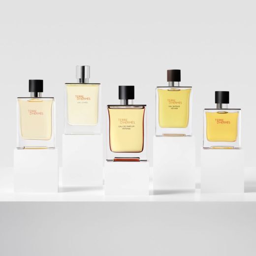 Terre D'hermès Eau De Parfum Intense