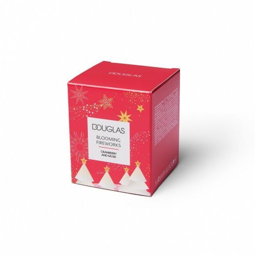 DOUGLAS WINTER FULL OF STARS Blooming Firework Candle