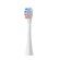 Oclean Kids Brush Head P3K1 White