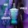 Le Male EDT | Jean Paul Gaultier