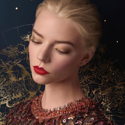 Diorskin Rouge Blush Limited Edition