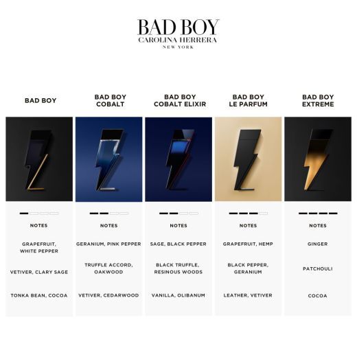 Bad Boy Cobalt Elixir Eau de Parfum Elixir