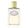 Infusion de Gingembre EDP